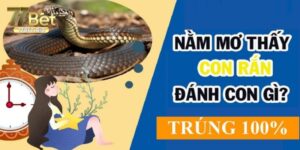 Mơ Thấy Rắn Đánh Con Gì? Giải Mã Giấc Mơ Chi Tiết Nhất